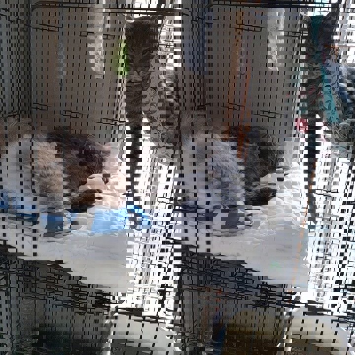 投稿写真