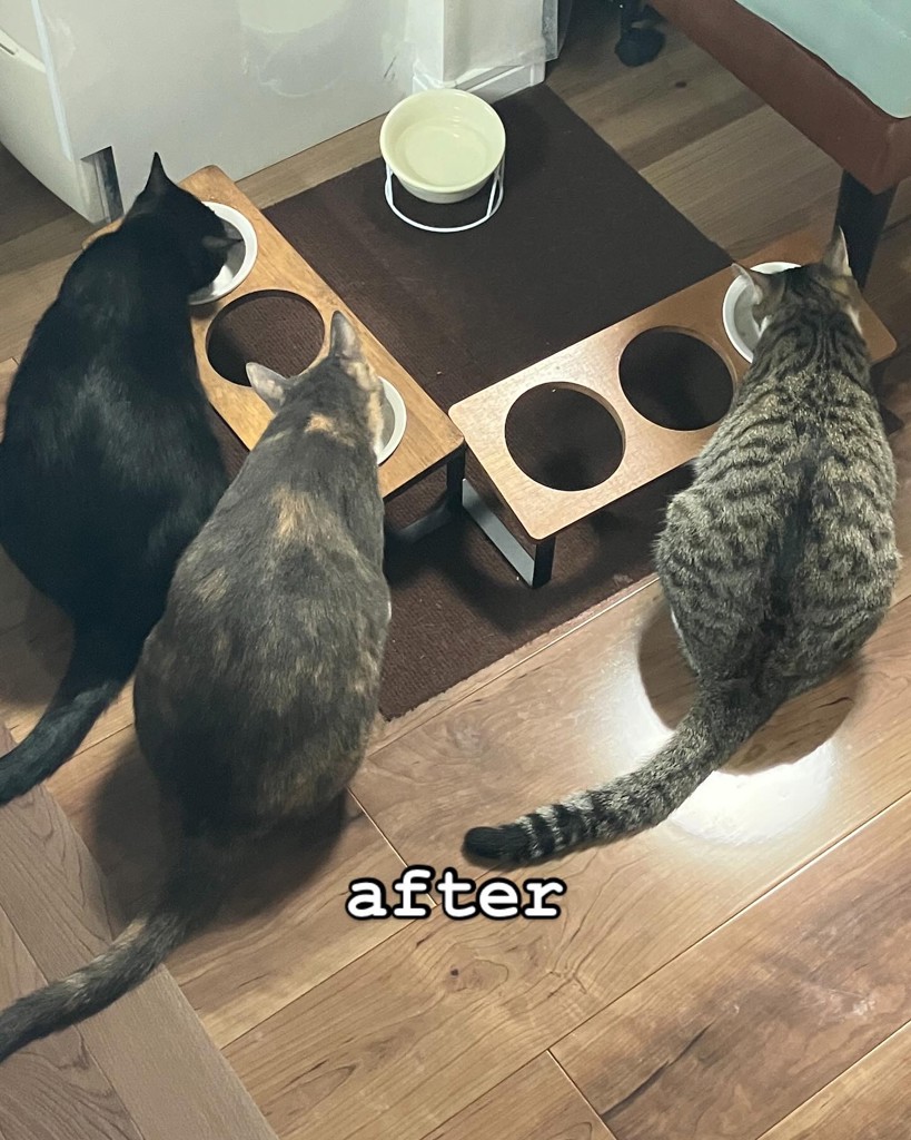 投稿写真