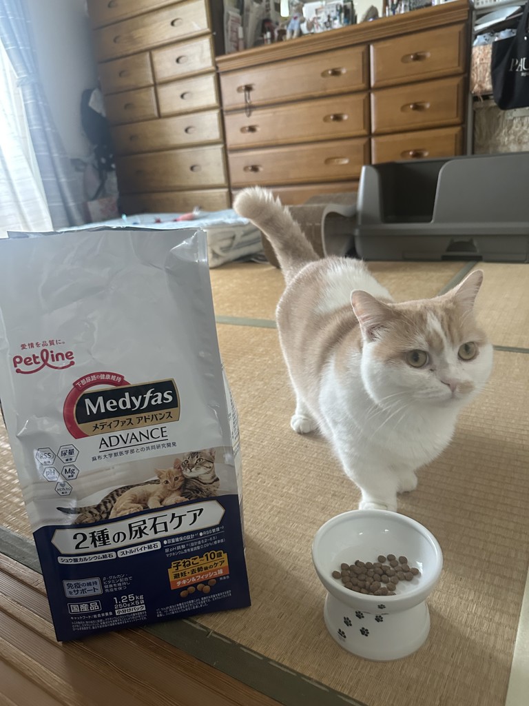 投稿写真