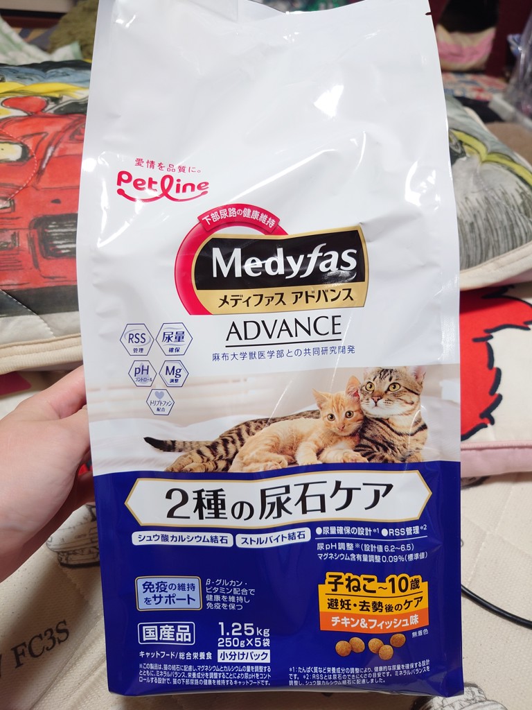 投稿写真