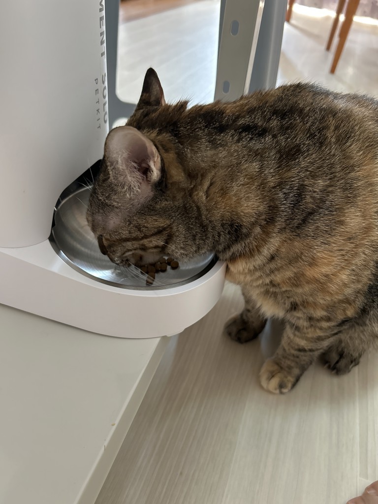 投稿写真