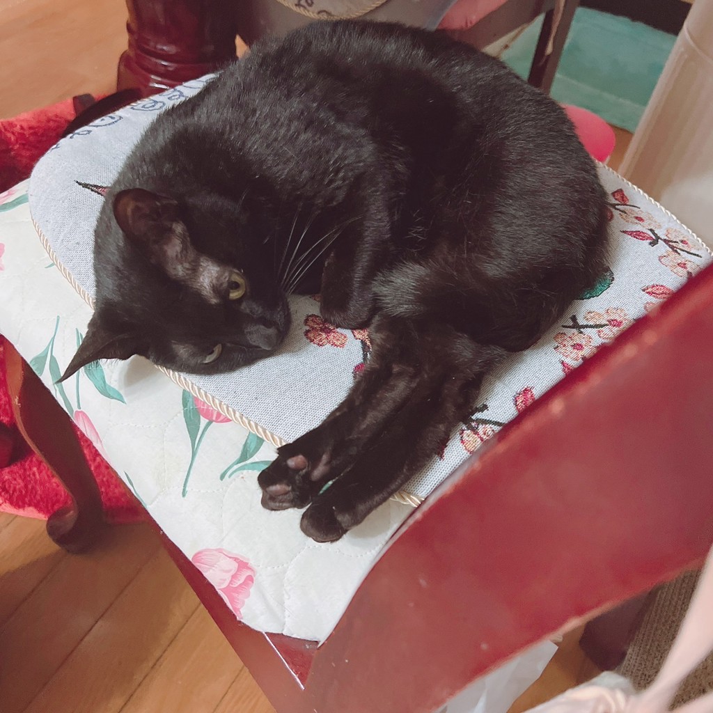 投稿写真