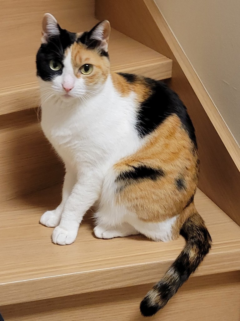 投稿写真