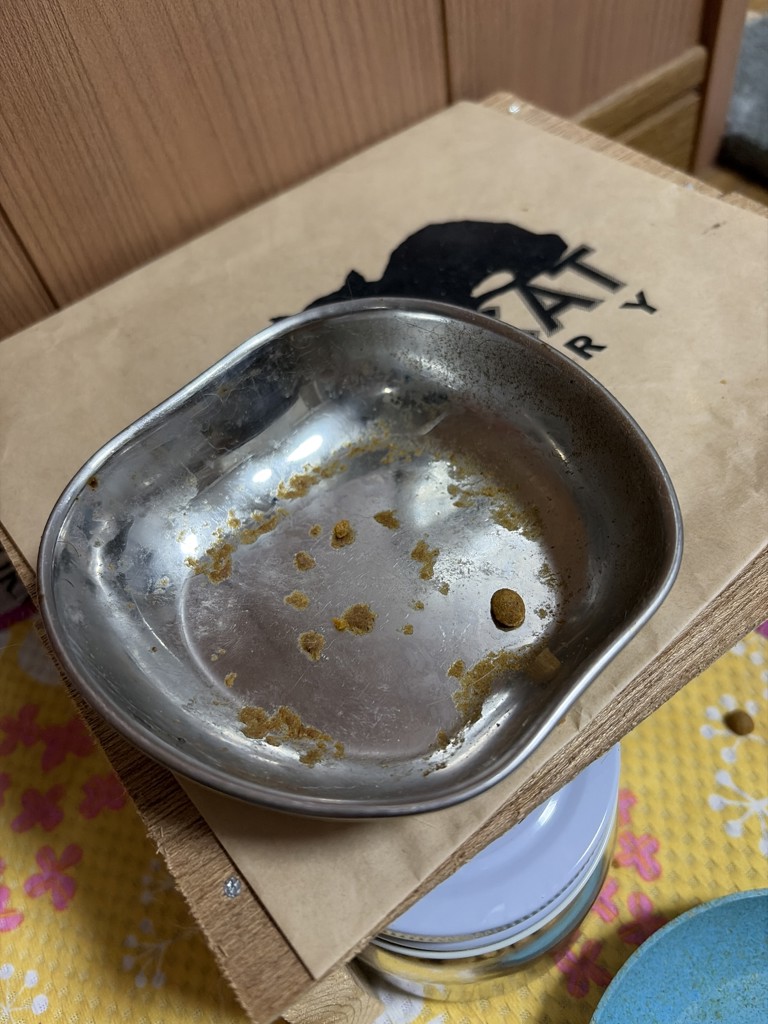 投稿写真
