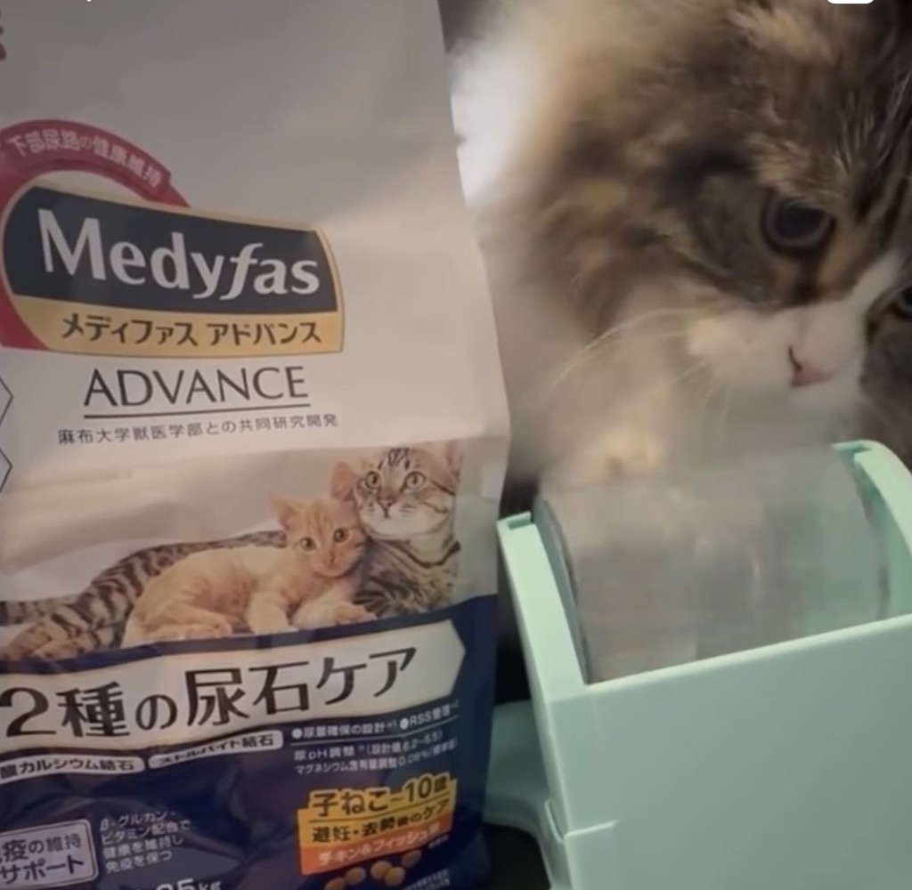 投稿写真