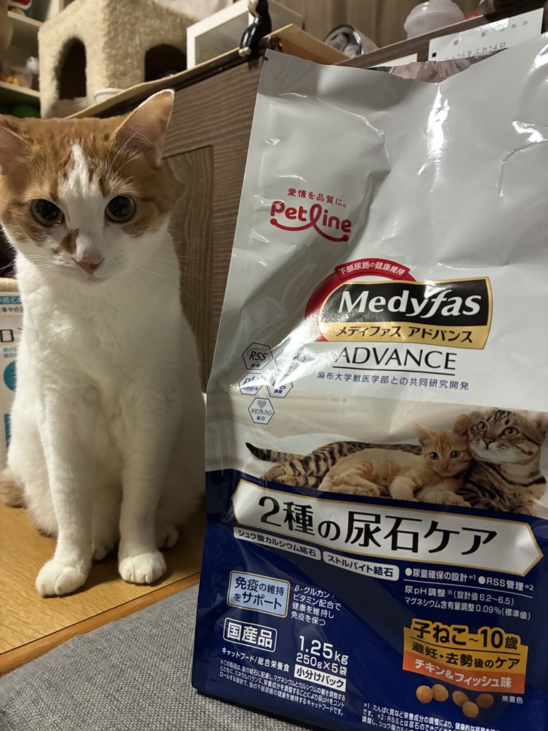 投稿写真