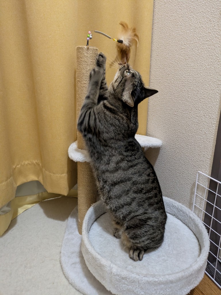 投稿写真
