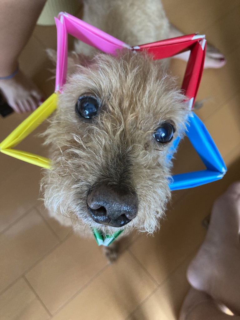 ユーザー写真