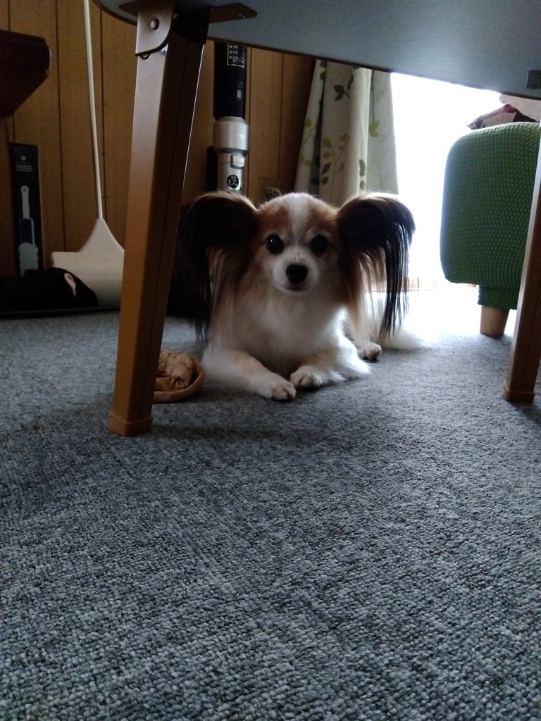 ユーザー写真