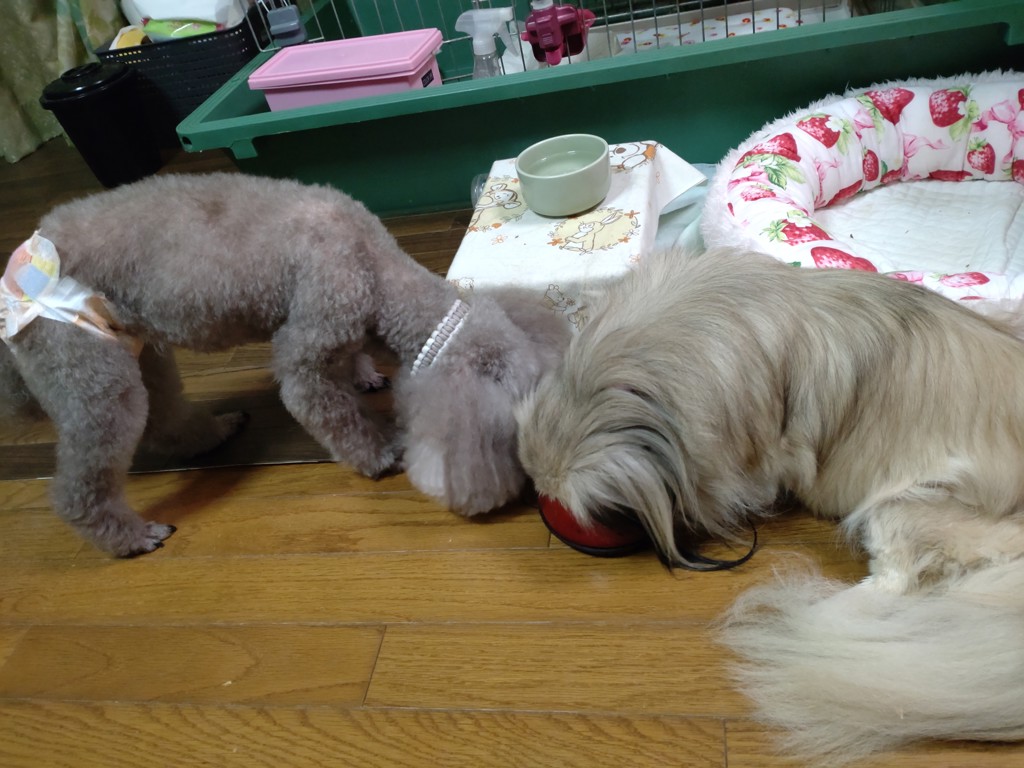 ユーザー写真