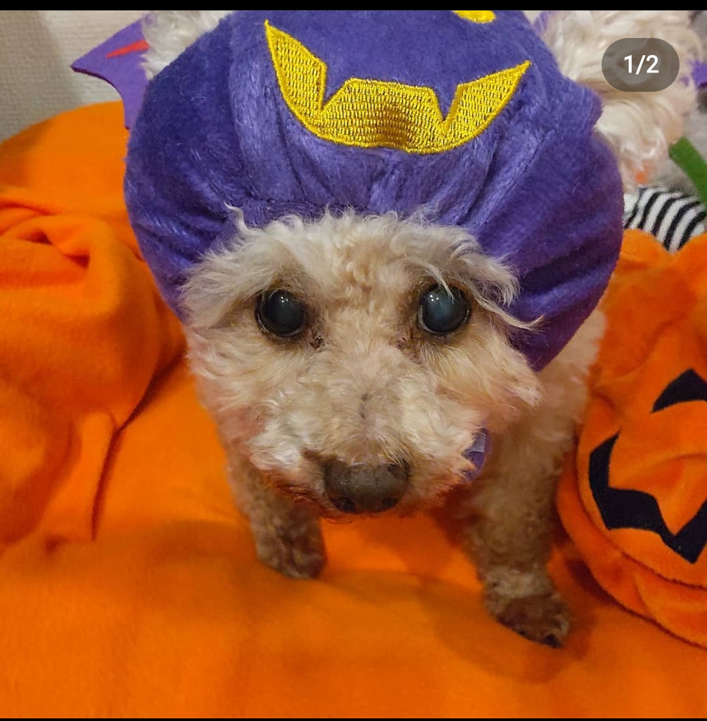 ユーザー写真