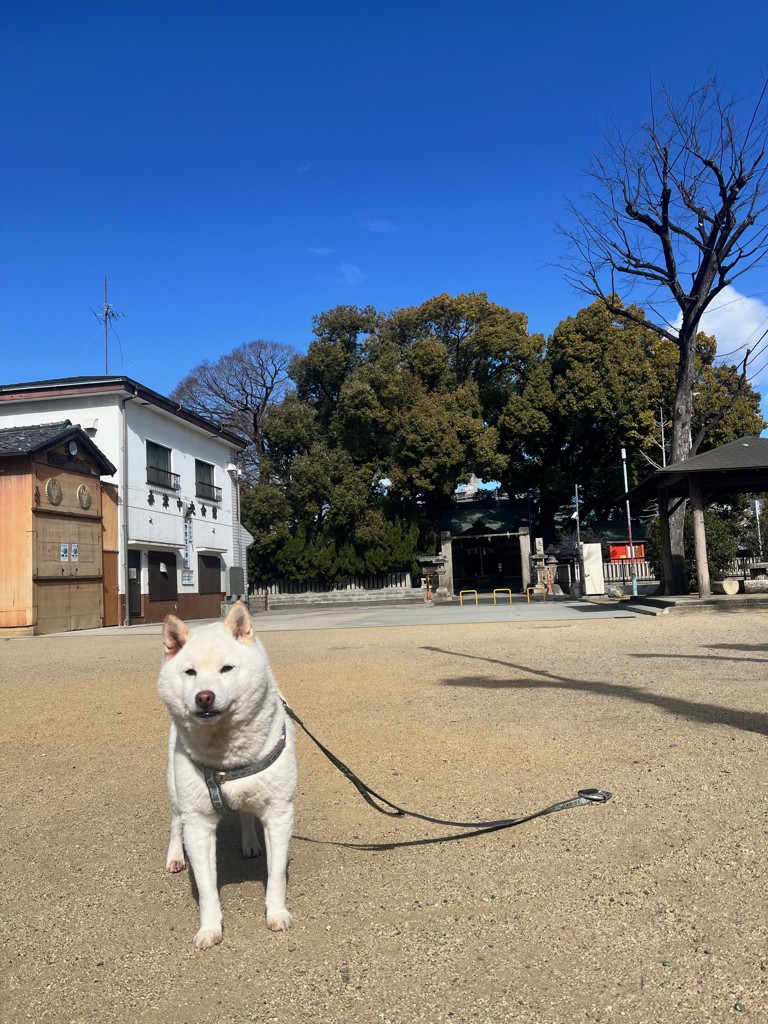 投稿写真