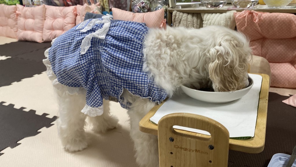 ユーザー写真