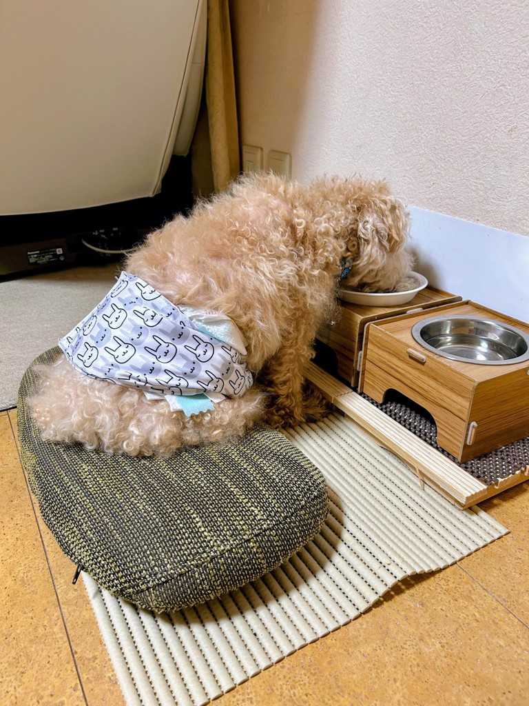 投稿写真