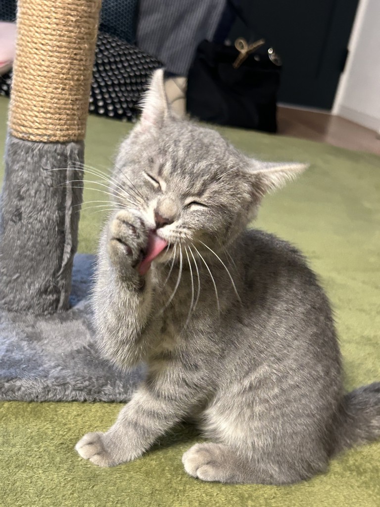 投稿写真