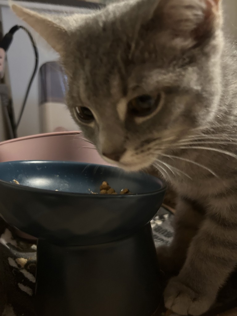 投稿写真