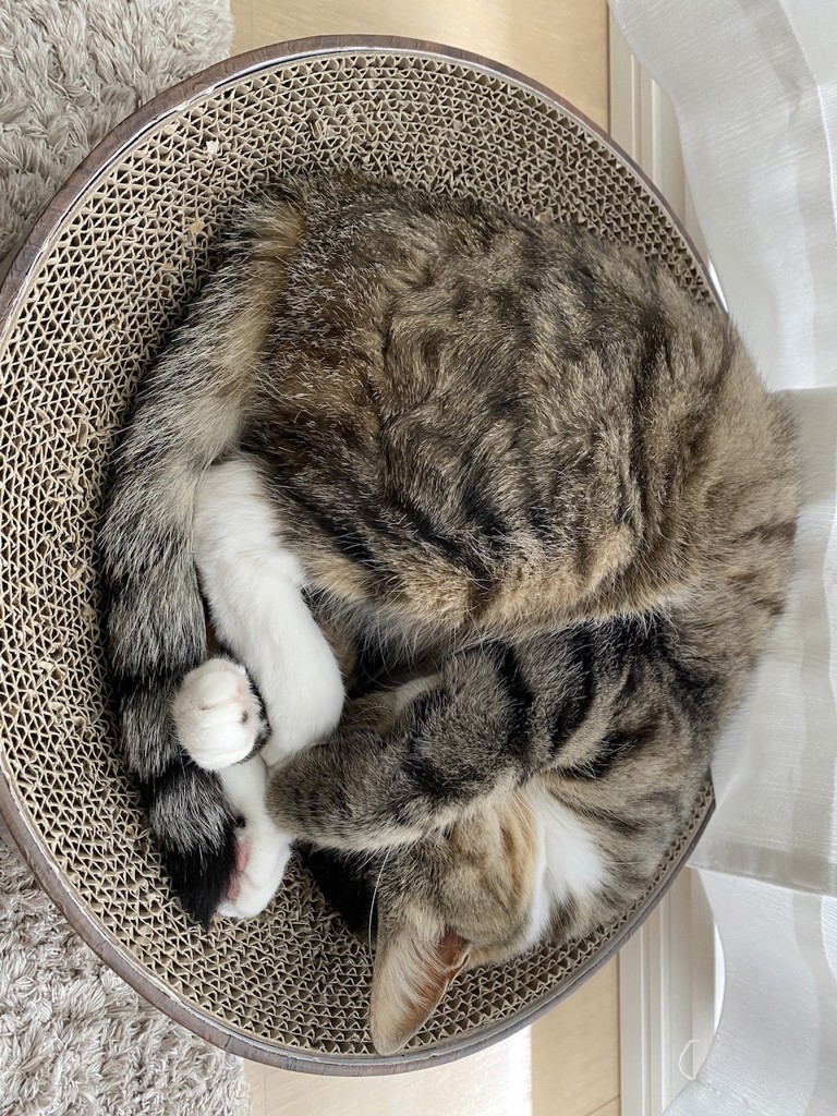 ユーザー写真