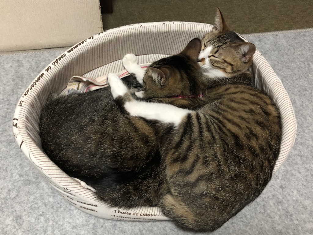 ユーザー写真