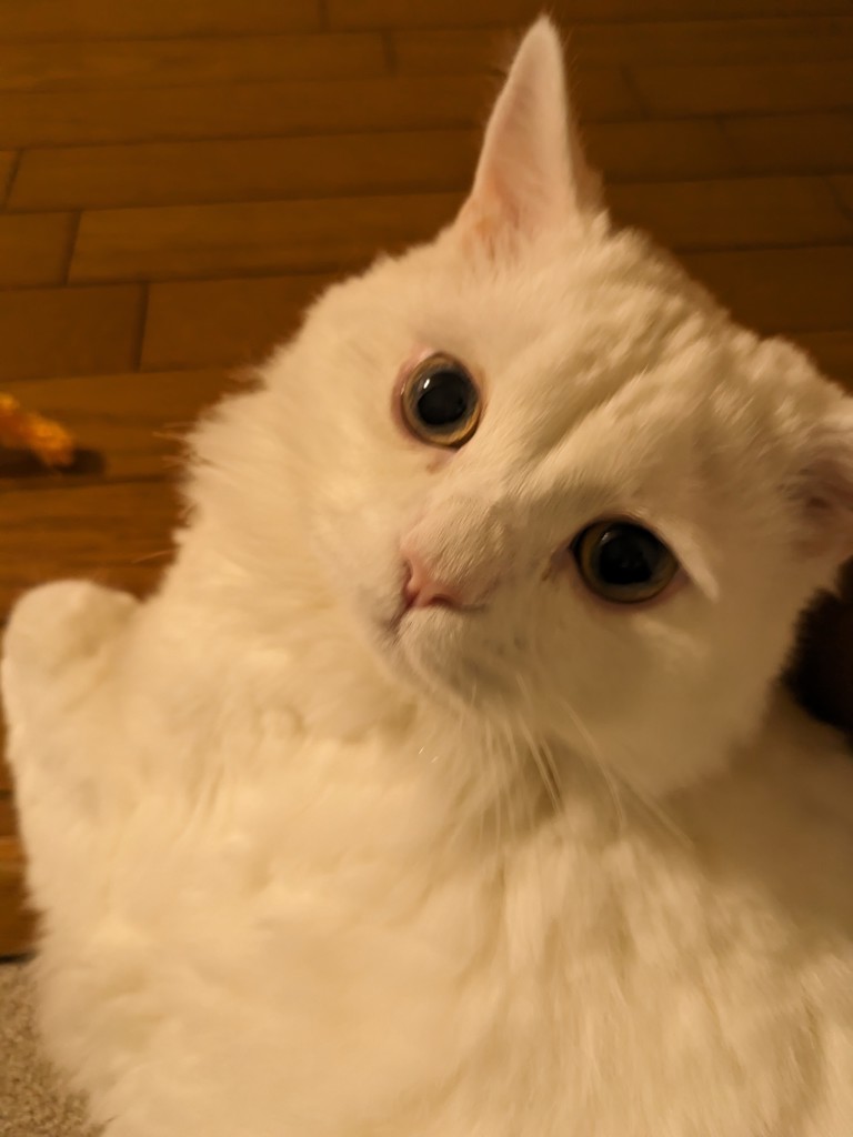 ユーザー写真