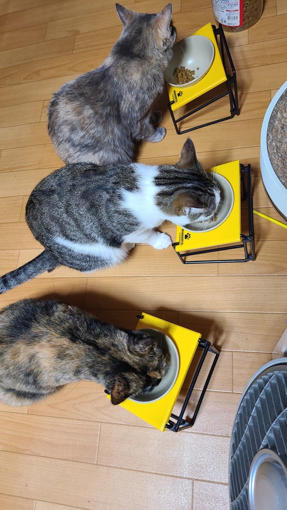 ユーザー写真
