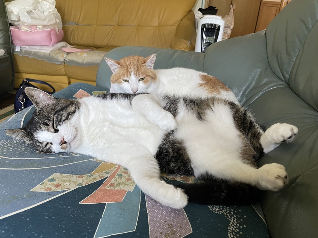 ユーザー写真