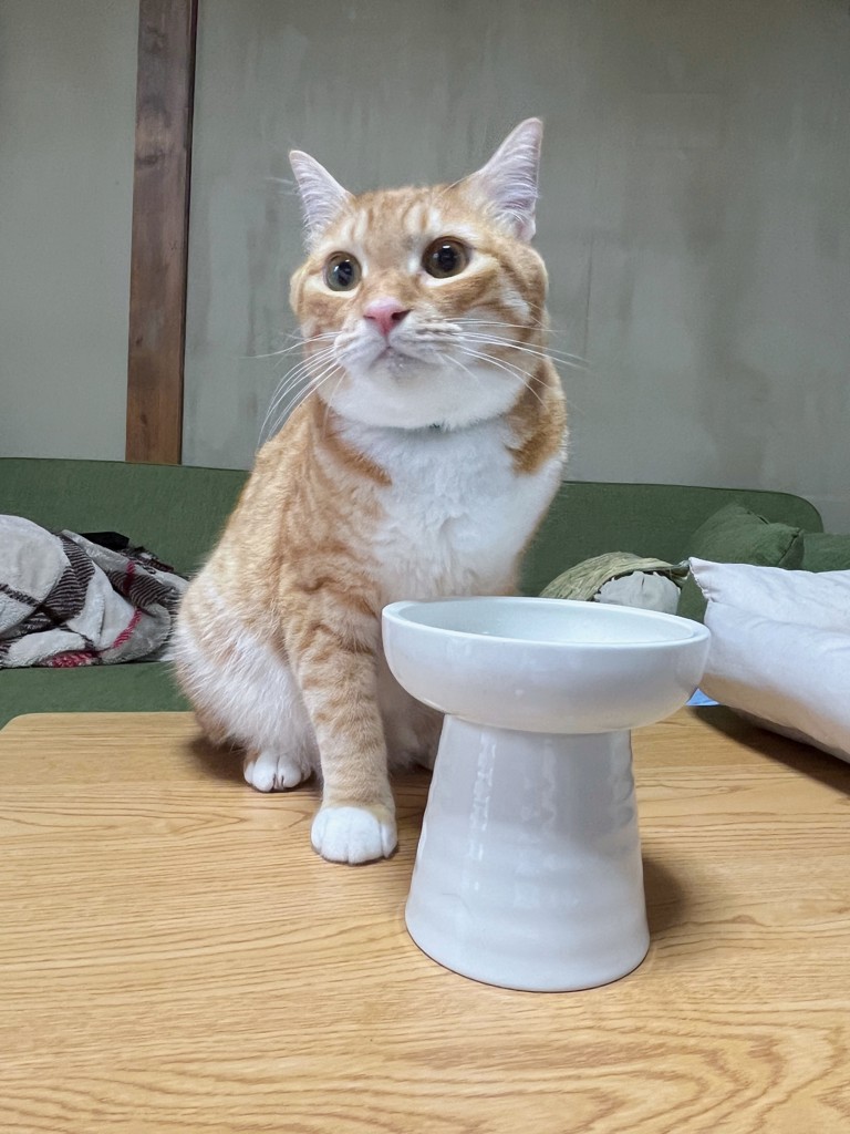 ユーザー写真