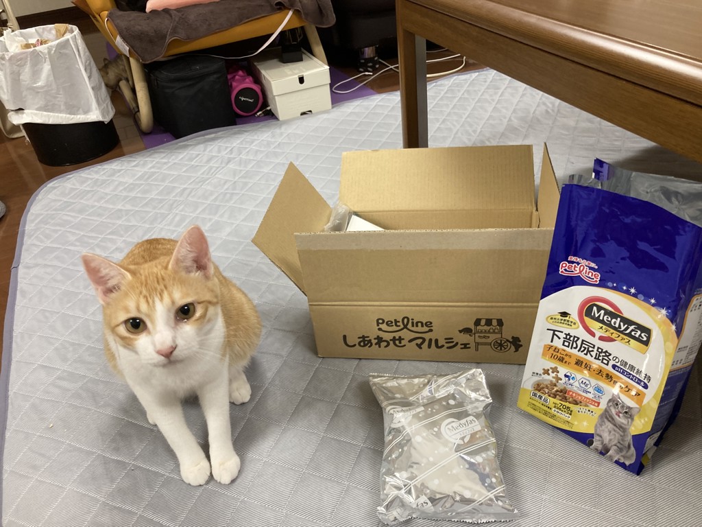 ユーザー写真