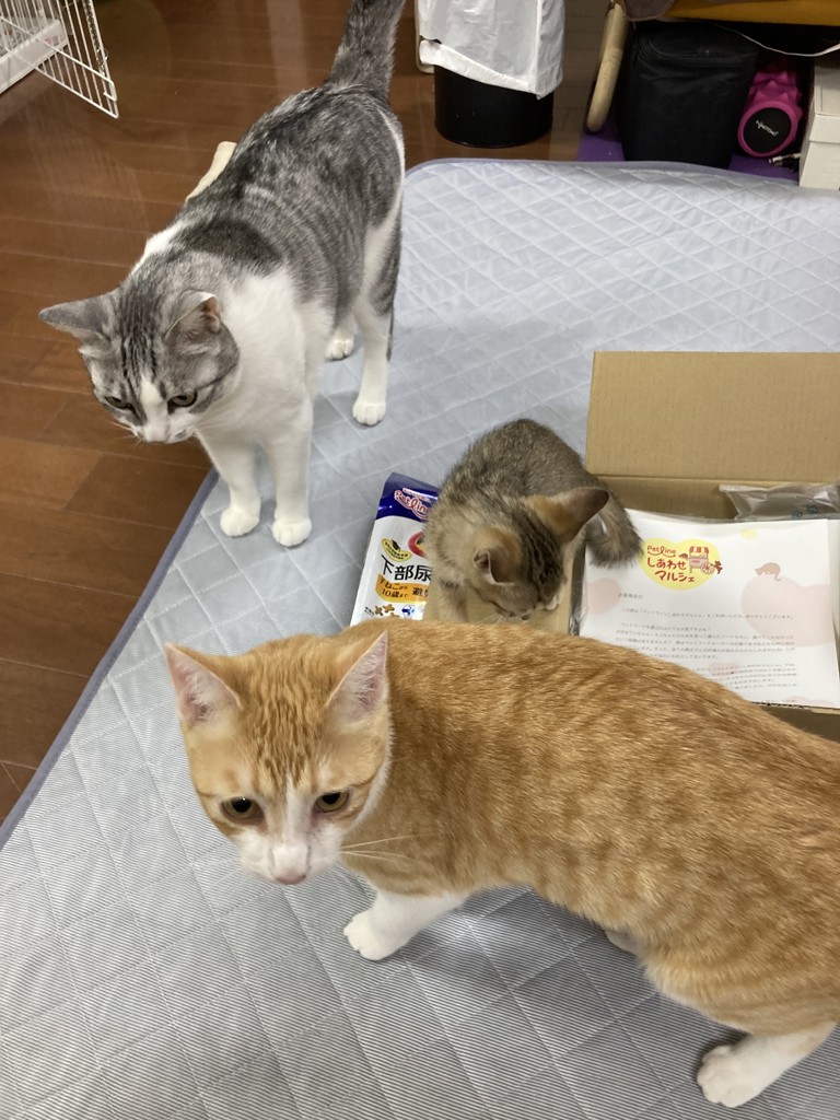 ユーザー写真