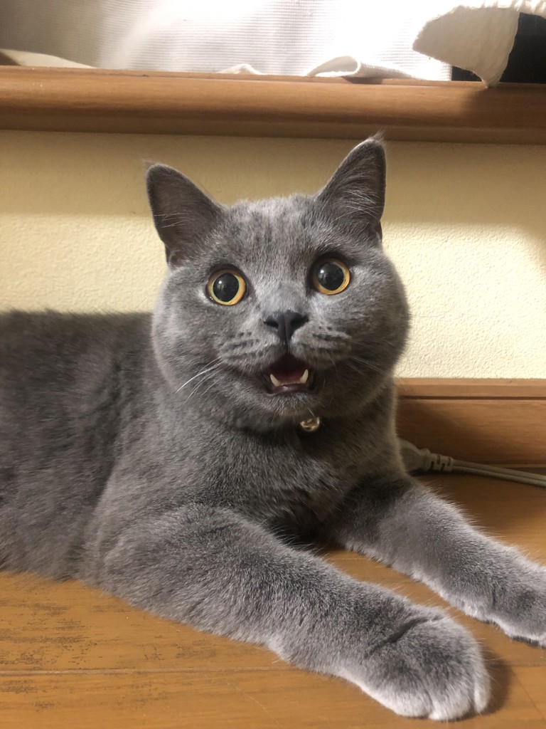ユーザー写真