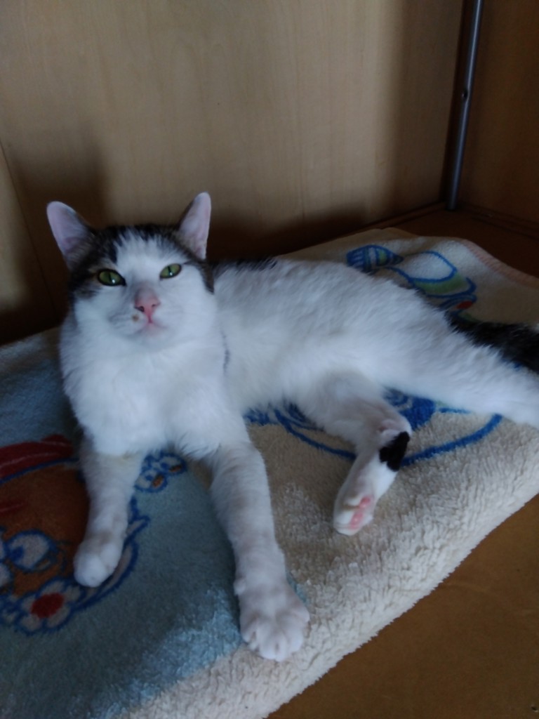 ユーザー写真