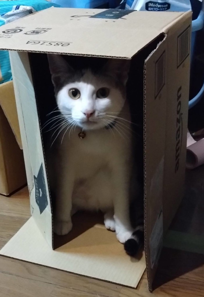 投稿写真