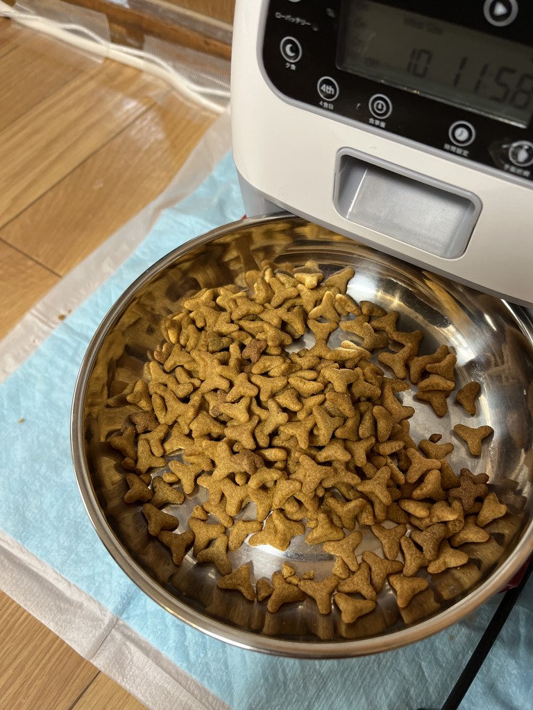 投稿写真