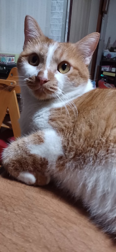 ユーザー写真