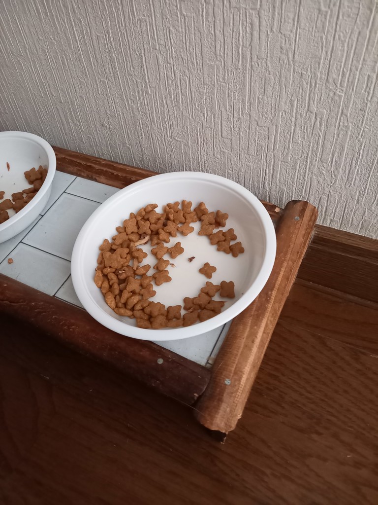 ユーザー写真