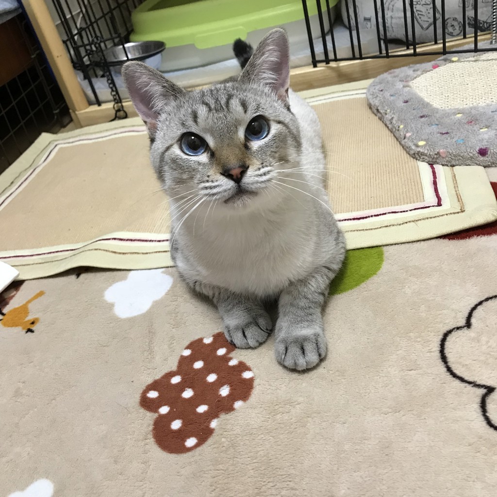 ユーザー写真