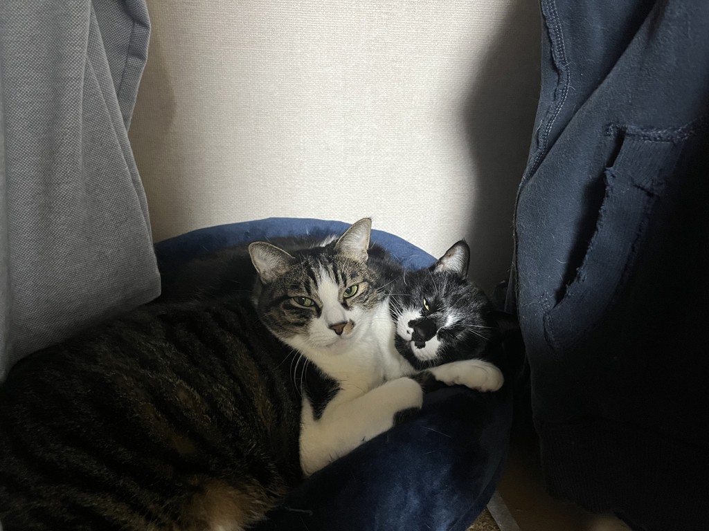 ユーザー写真