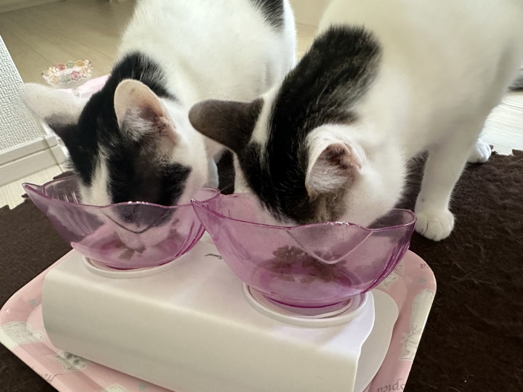 ユーザー写真