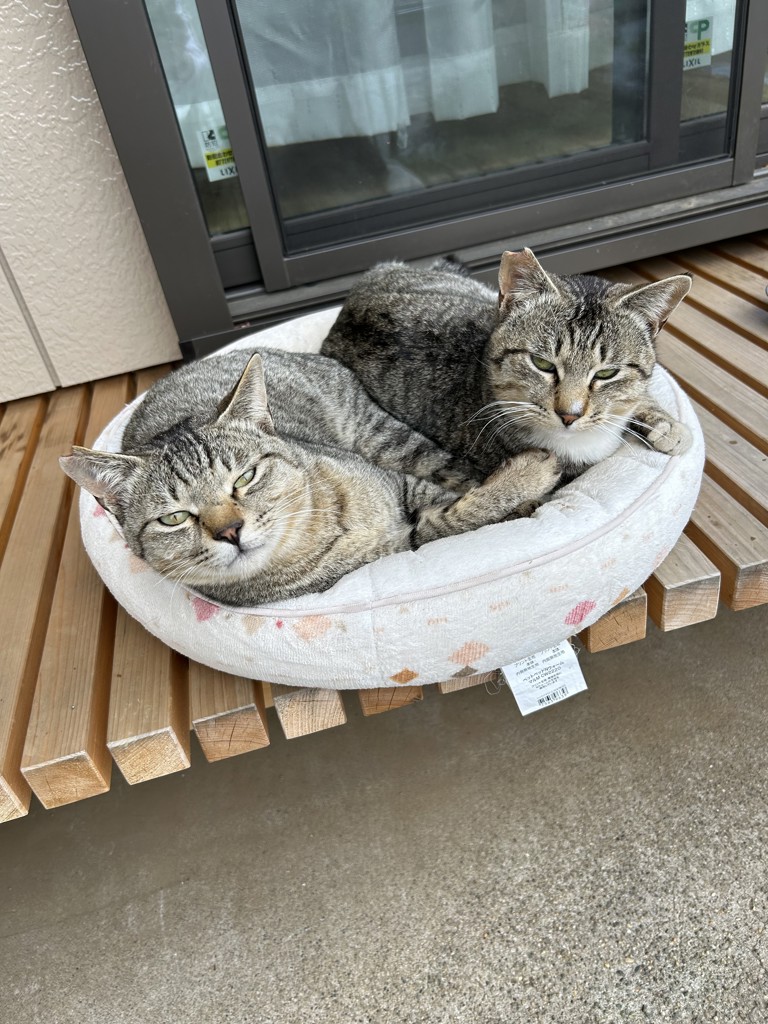投稿写真
