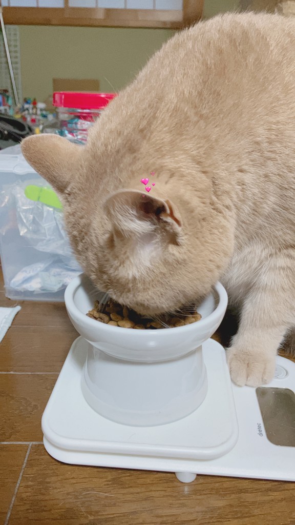 投稿写真