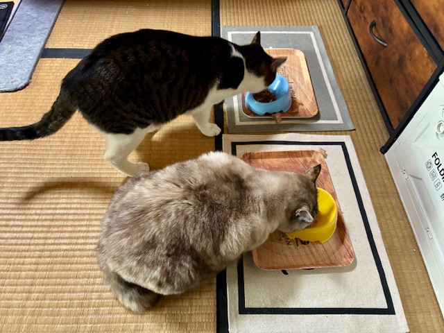 投稿写真