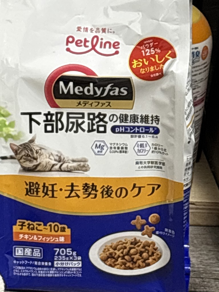 投稿写真