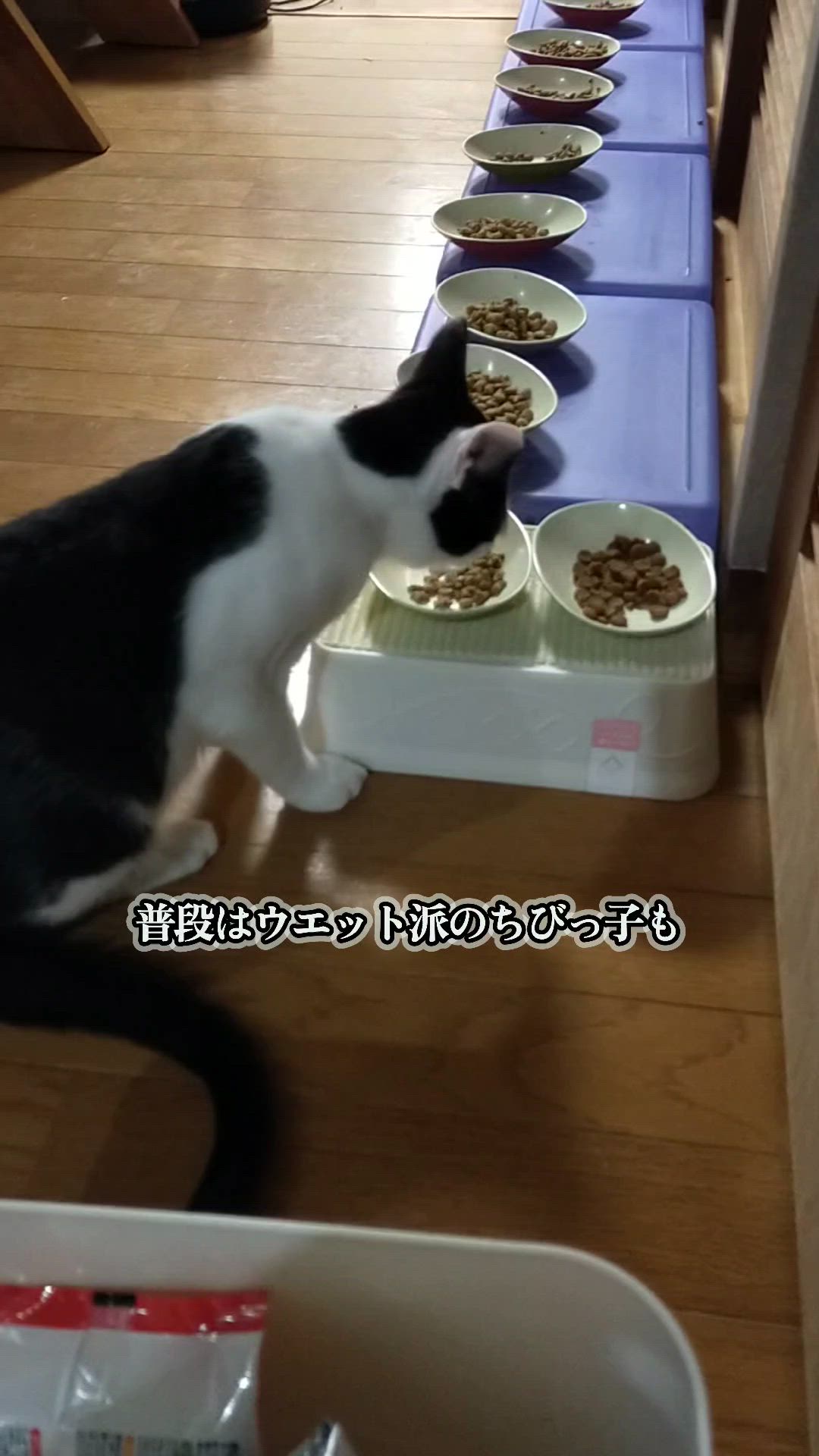 投稿写真