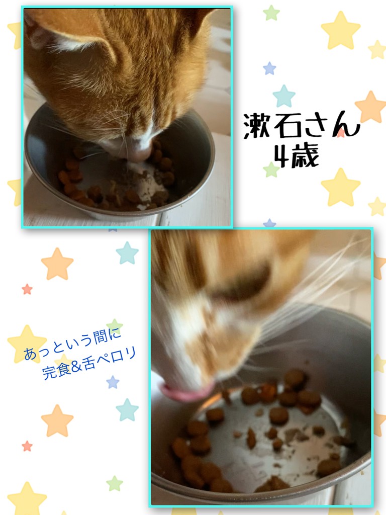 投稿写真