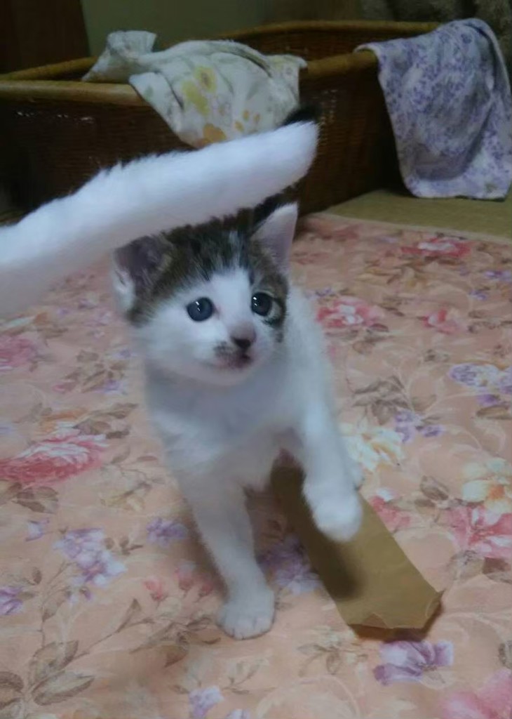 投稿写真