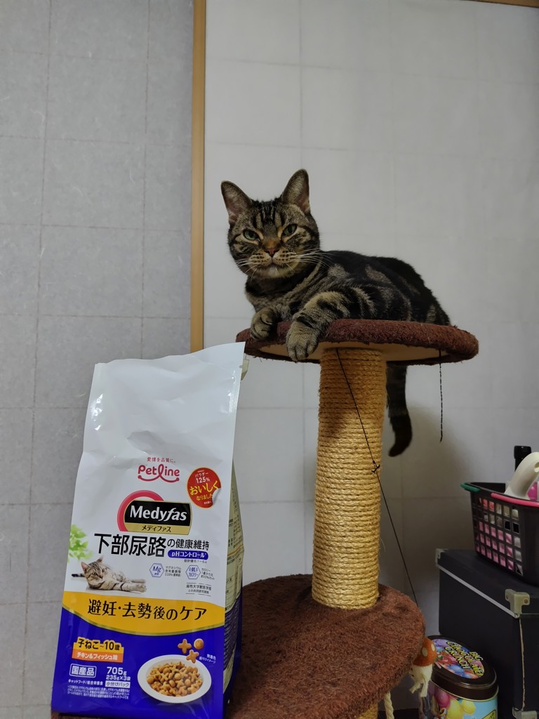 投稿写真