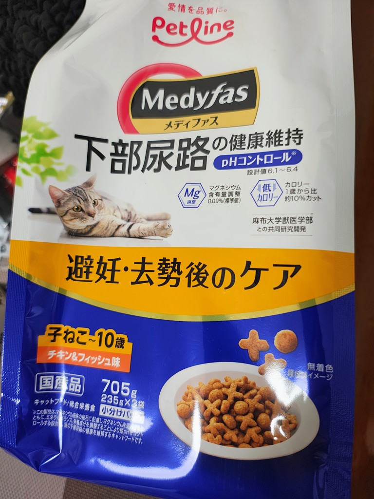 投稿写真