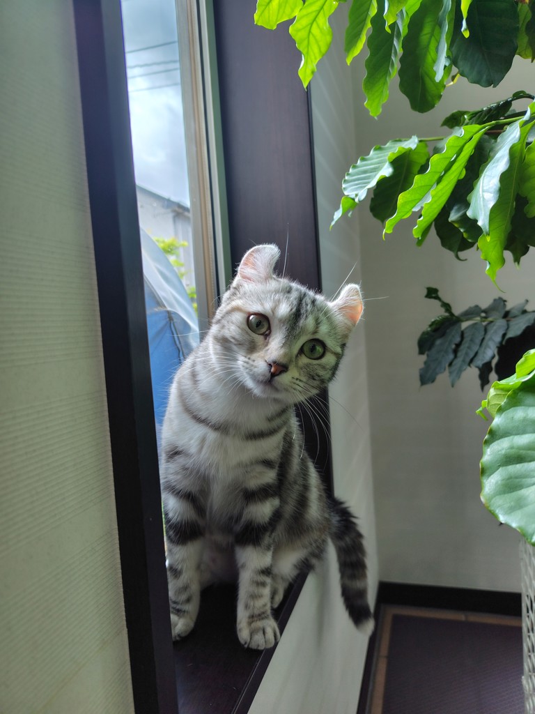 投稿写真