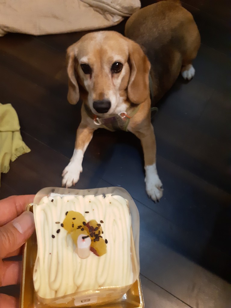 ユーザー写真