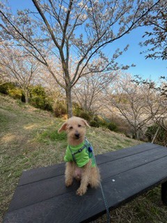 ユーザー写真