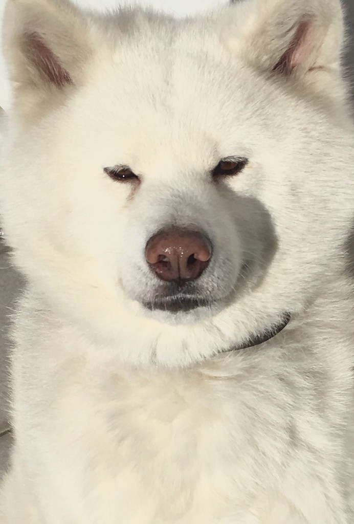 ユーザー写真